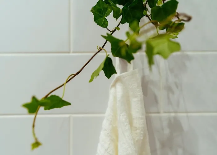 Bright 3br Flat - Location - View Balcony