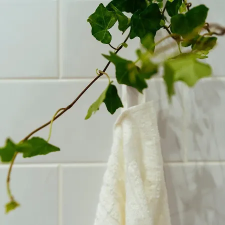 Bright 3br Flat - Location - View Balcony